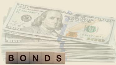 Govt hikes interest rates for dollar bonds