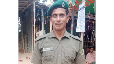 mainul ansar