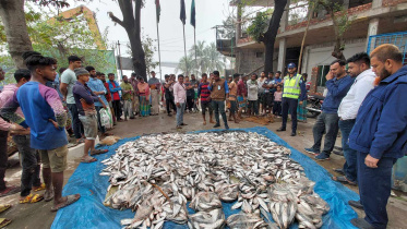 jatka-seized.jpg