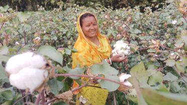 First-Time Govt Incentive for Cotton Growers