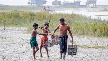 sundarban-crab-ban-1.jpg
