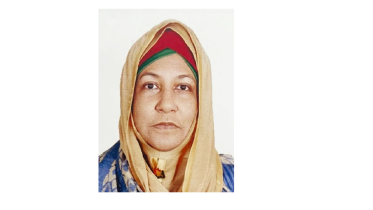 waseqa.png