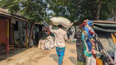 paddy price in Bangladesh
