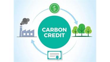 representation_of_carbon_credit.jpg