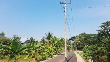electric-poles.jpg