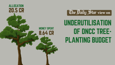 underutilisation_of_dncc_tree_planting_budget.png