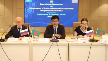 DCCI seeks more Russian investments in power and energy 