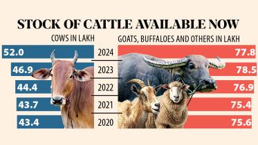 sacrificial animals for Eid Ul Azha