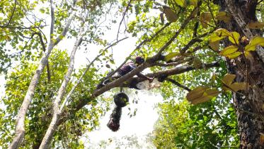 GI Sundarbans' Honey
