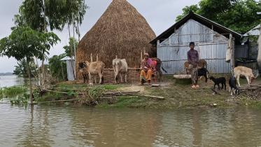 kurigram_flood_situation-02.jpg