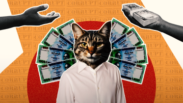 The nine lives of corrupt public servants