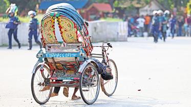 July-August Movement death toll