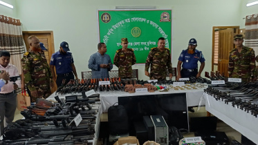 arms