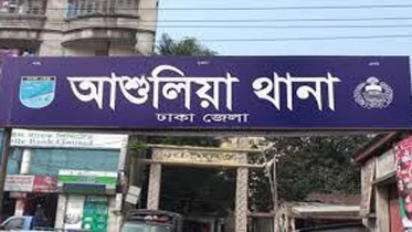 ashulia.jpg