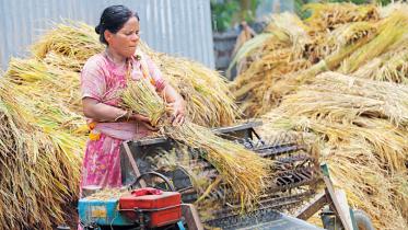 BB hikes banks’ agri loan disbursement targets