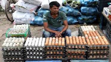 egg prices rise for supply shortage in Bangladesh