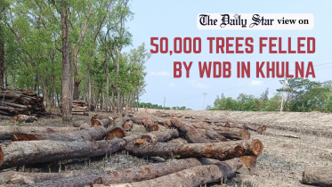 50000 trees felled by WDB in Khulna.png