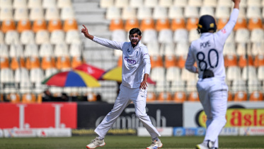Shoaib Bashir.jpg