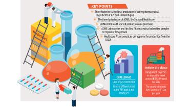 raw materials production in API park