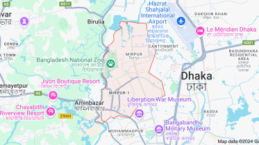 stray bullet kills woman in Mirpur