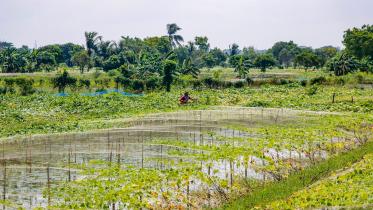 integrated-farming-khulna.jpg