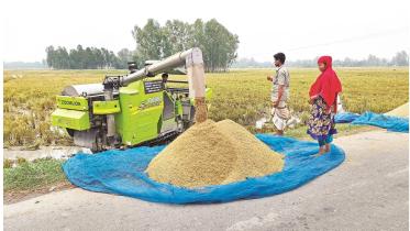 combine harvester.jpg