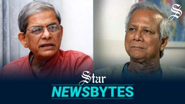 Fakhrul says interim govt needs time