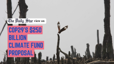 COP29’s $250 billion climate fund proposal.png