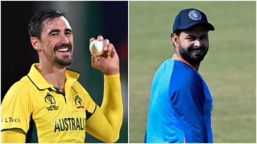 starc-pant.jpg