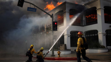 la_fire.jpg