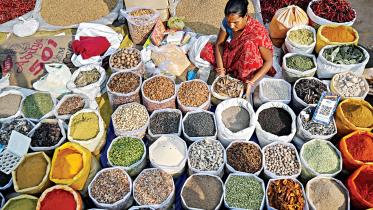 dry-food.jpg