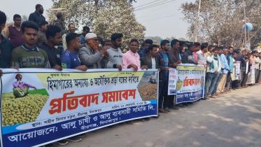 birganj_potato.jpg
