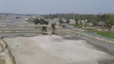 Shrimp farming in the coastal region