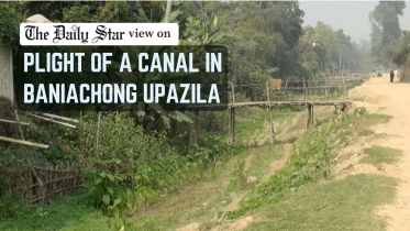 Gorer Khal on its deathbed