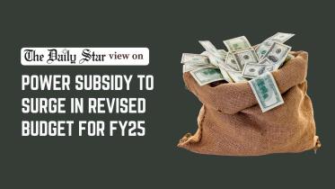 power sector reform in Bangladesh