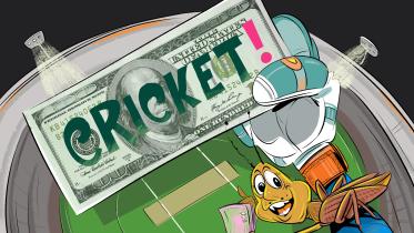 Saudi Arabia cricket league  