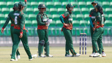 tigresses.jpg