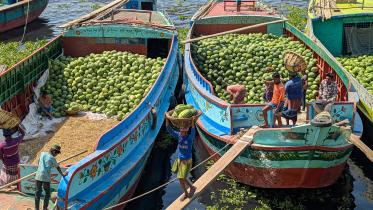 Wise Ghat's watermelon rush: A feast for the eyes and palate