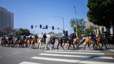 lapd.jpg