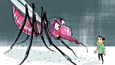 dengue_cartoon.jpg