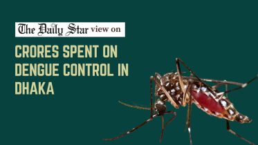 Crores spent on dengue control in Dhaka but without satisfactory results