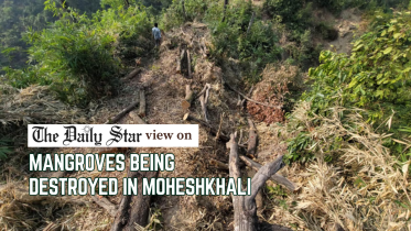 Save Moheshkhali’s mangrove forest.png