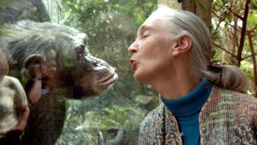 renownedprimatologistjanegoodalldiesat91institut.jpg