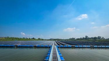 floating_solar_plant.jpeg