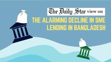 SME lending decline