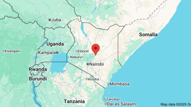 kenya.png