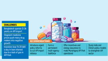 API industry in Bangladesh