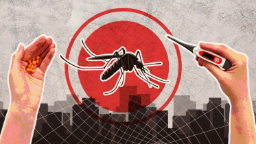 Dengue visual.png