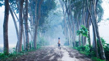 Bangladesh’s coldest season is also its most dramatic    mashiur-rahman-h4tqq8emzam-unsplash.jpg