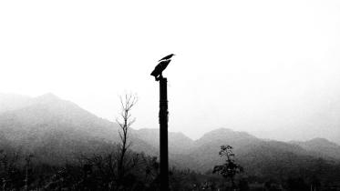 Me against the world